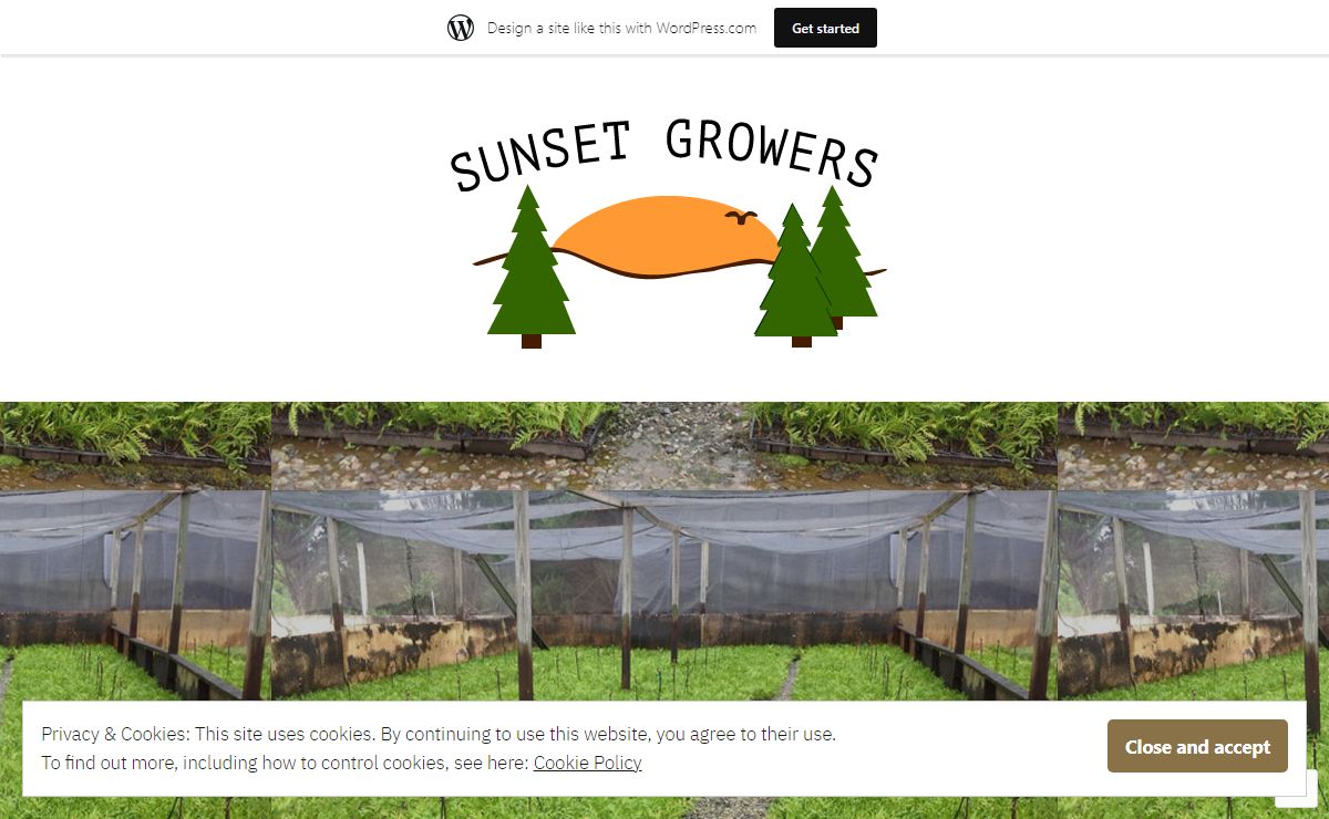 Sunset Growers