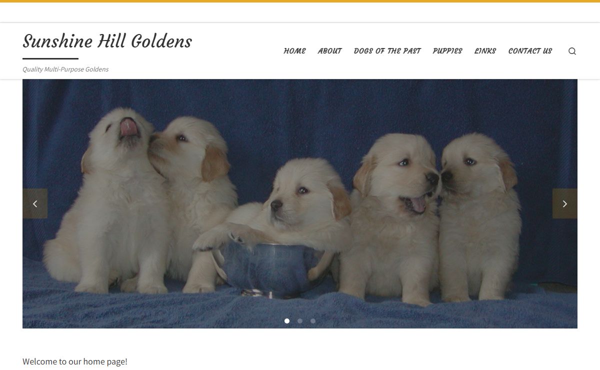 Sunshine Hill Goldens – Quality Multi-Purpose Goldens