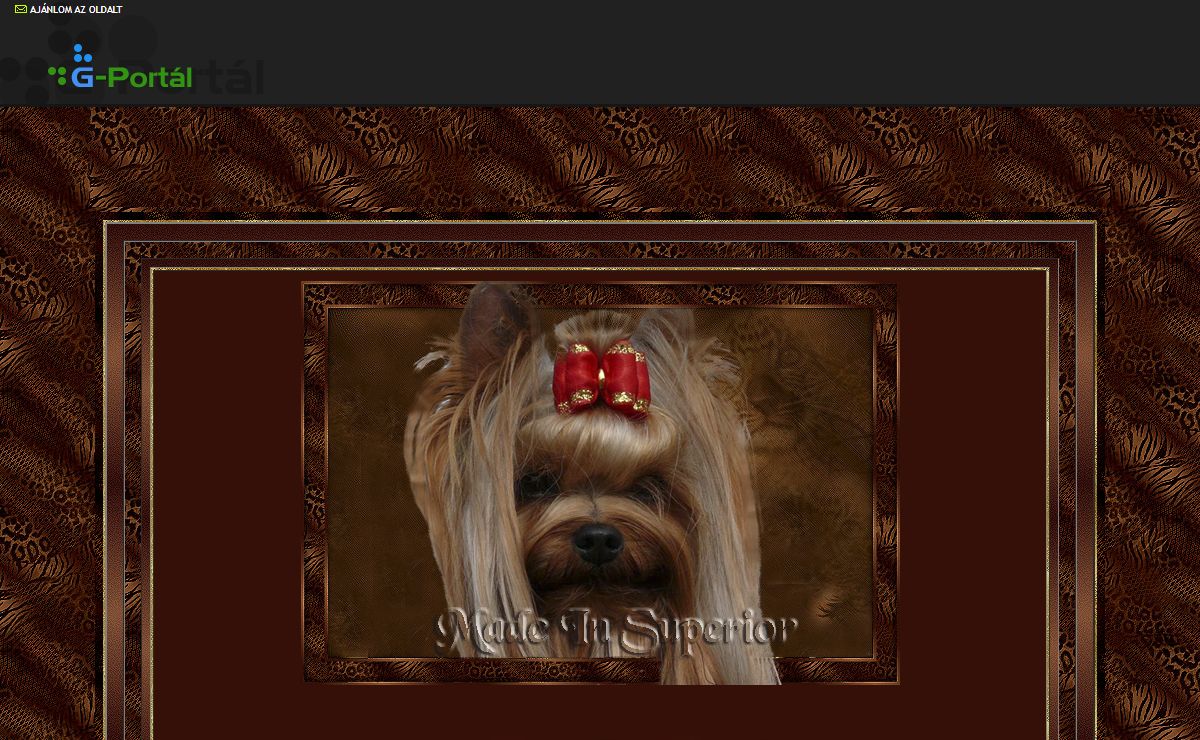 MADE IN SUPERIOR Yorkie Aranykoszorús Mestertenyészet - G-Portál