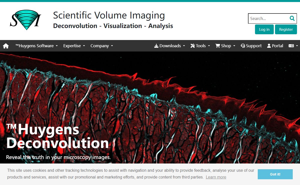 HomePage | Scientific Volume Imaging