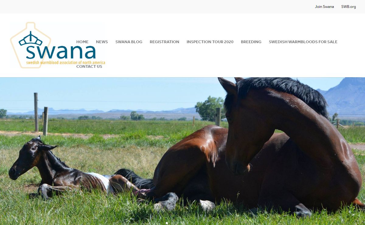 SWANA - The Swedish Warmblood Association of North America