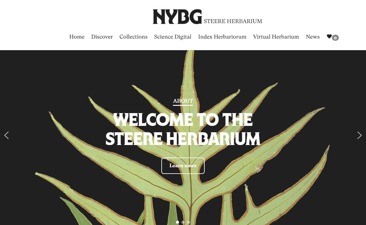 Home - The William & Lynda Steere Herbarium