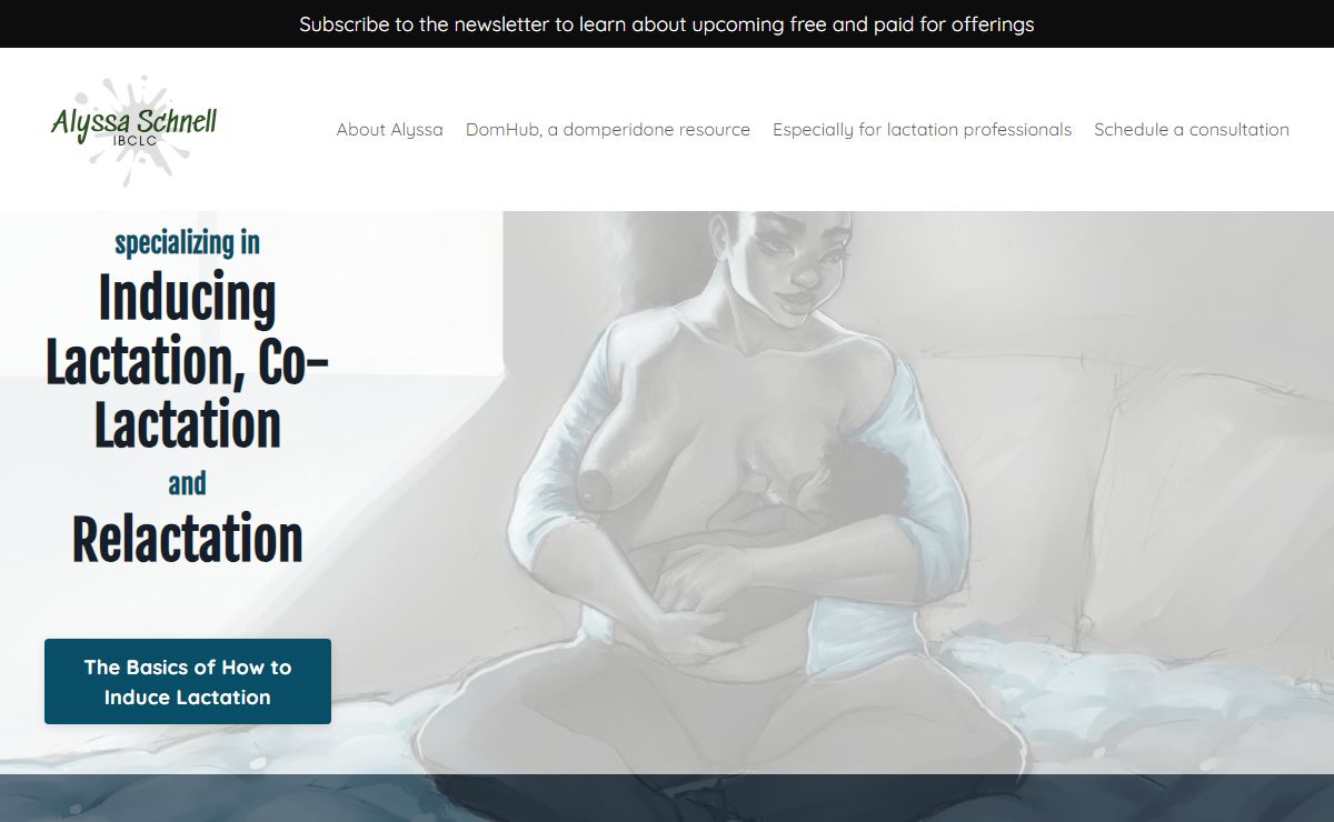 Alyssa Schnell, IBCLC Inducing Lactation and Relactation