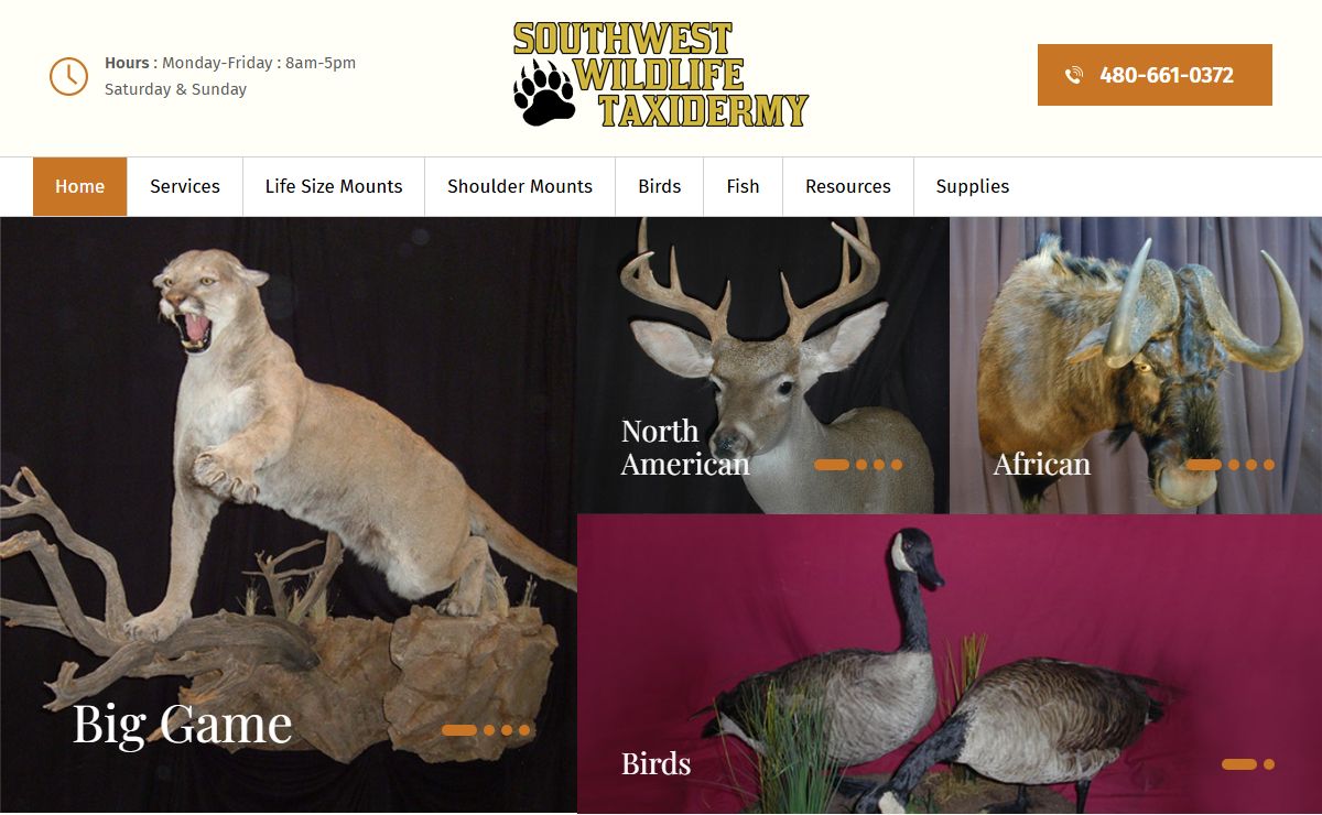 Southwest Wildlife Fine Taxidermy Art