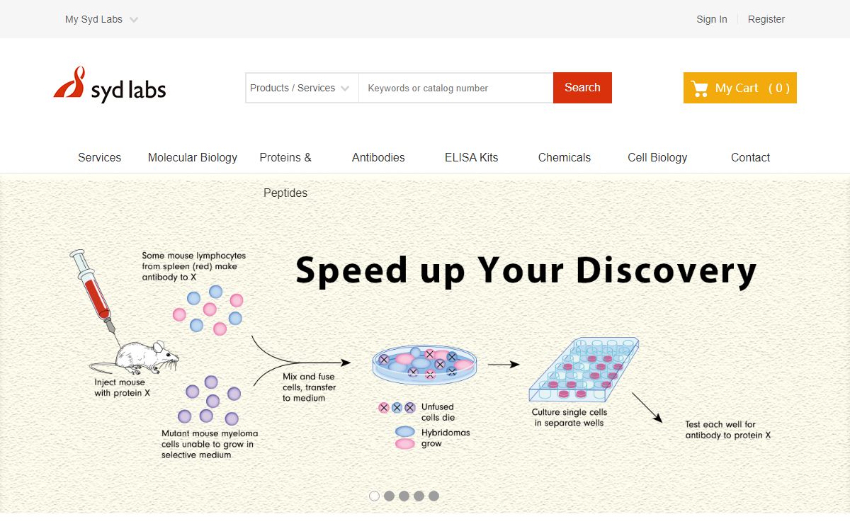 Syd Labs - Speed up Your Discovery - Syd Labs