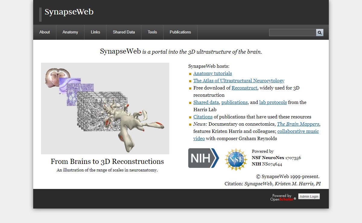 SynapseWeb