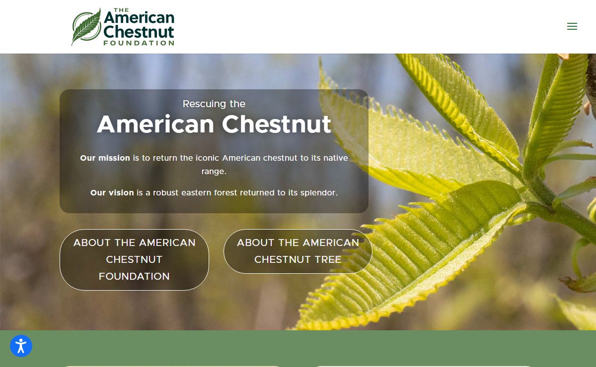 The American Chestnut Foundation | Rooted in Restoration