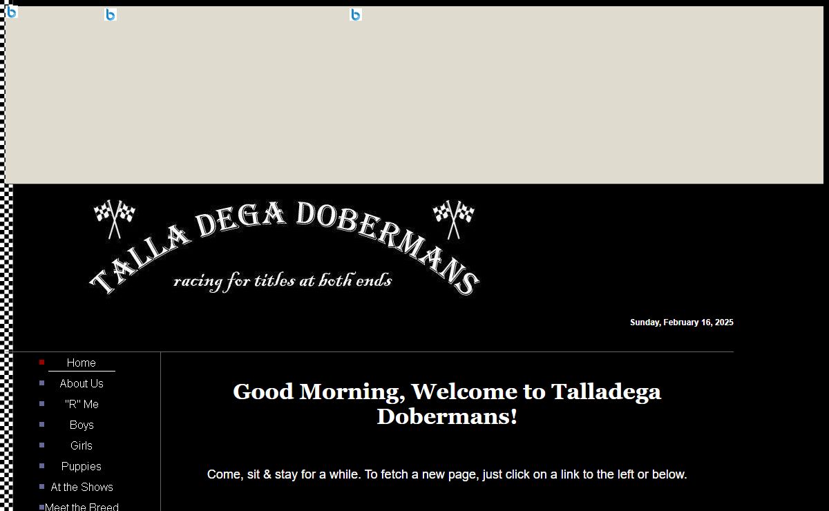 Talladega Dobermans - NC Dobermans