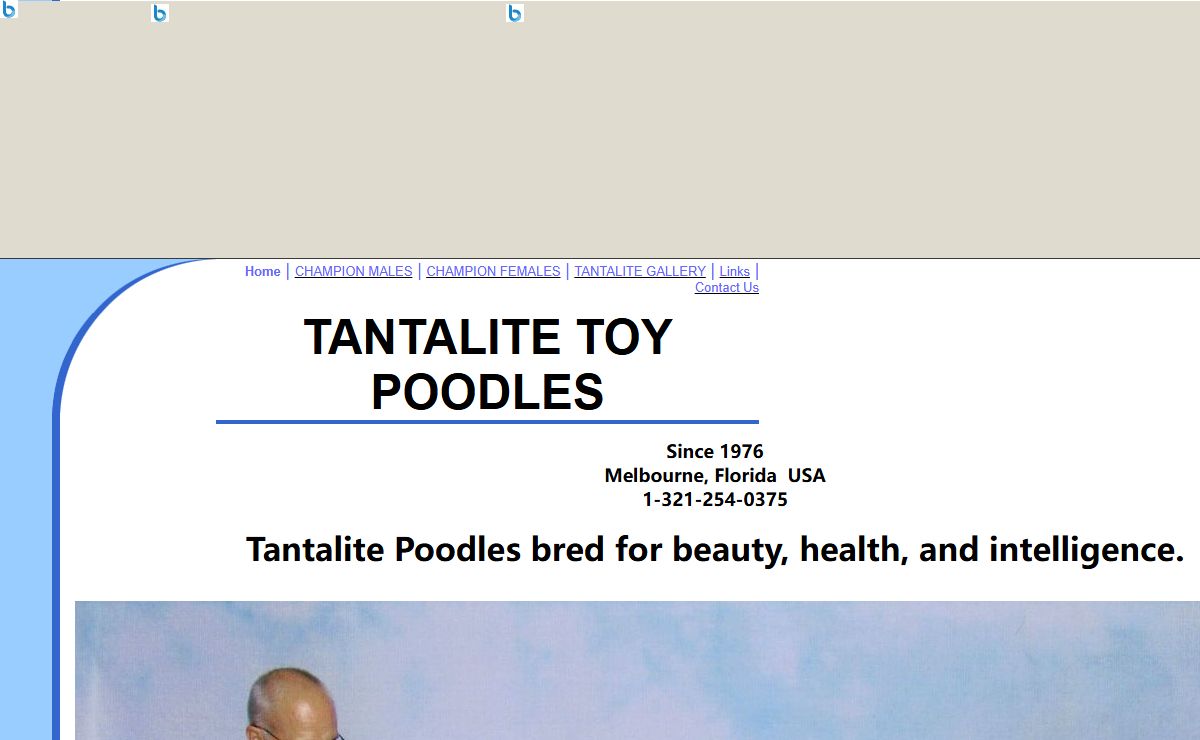TANTALITE TOY POODLES