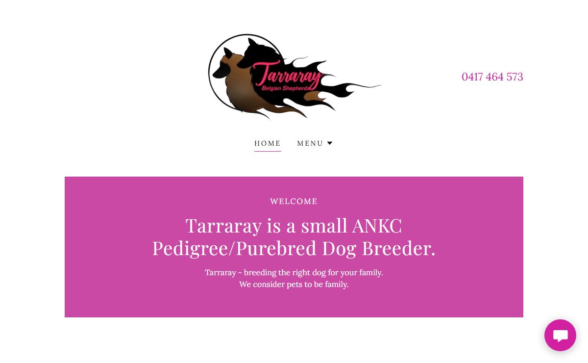 Tarraray Belgian Shepherds - Dog Breeder, Puppy, Puppies for Sale