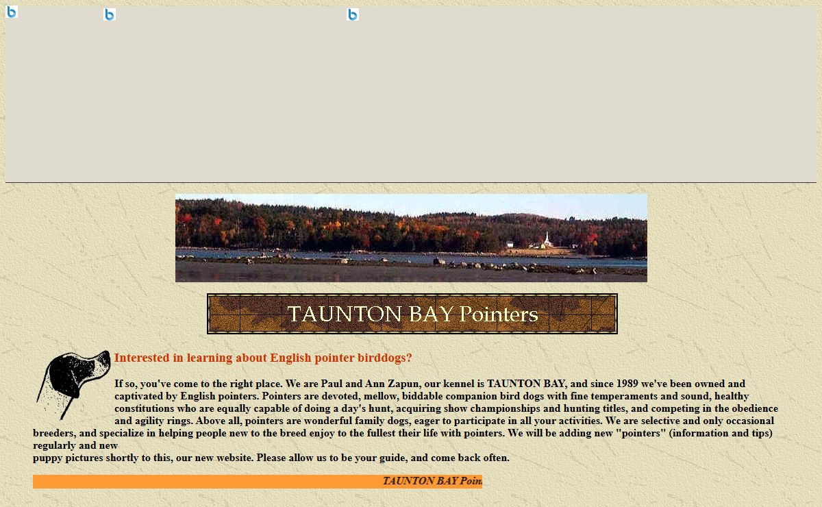 TAUNTON BAY Pointers - Breeders of English Pointer Bird Dogs - Family Companions for AKC Showing, Personal Hunting, Obedience, Agility - Kennel - Puppy Pictures