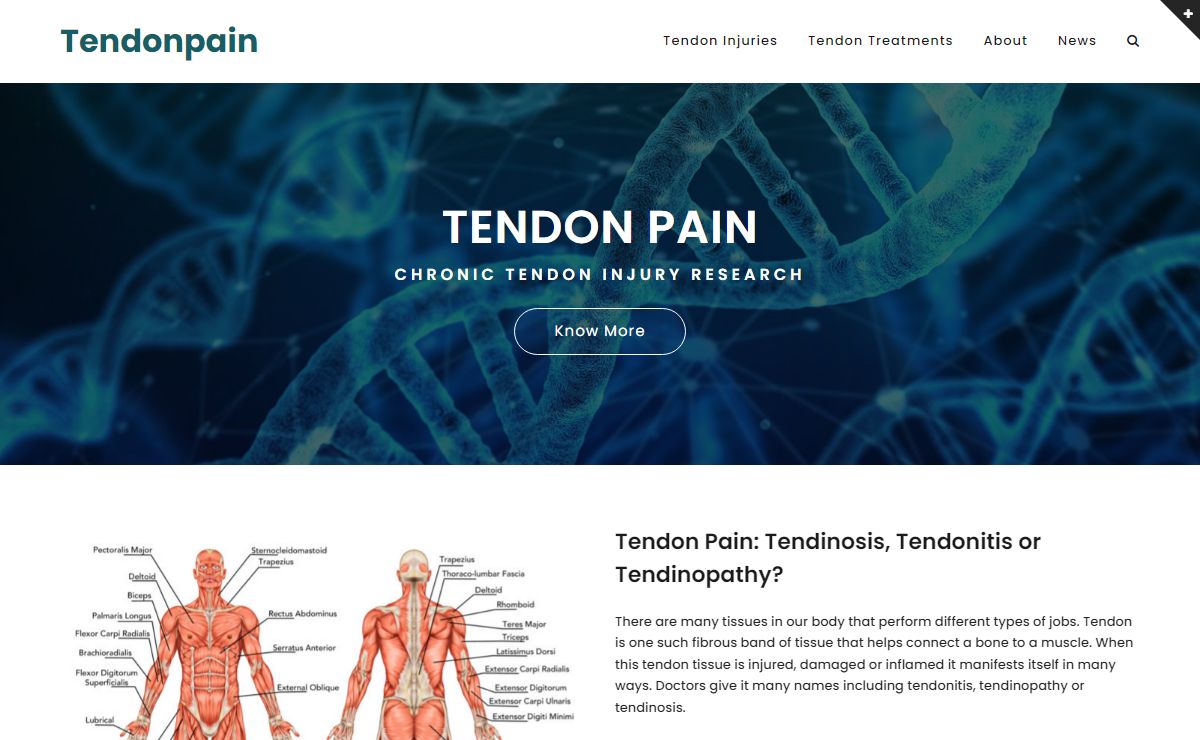 Chronic Tendon Injury Research | TendonPain.org