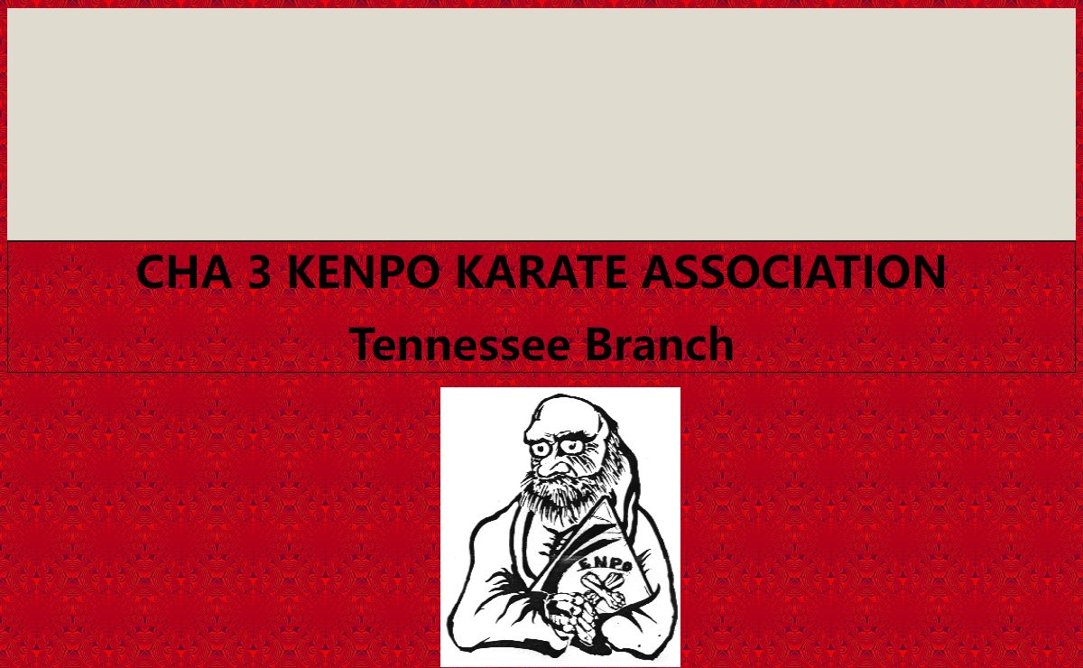 Tennessee CHA 3 Kenpo Karate