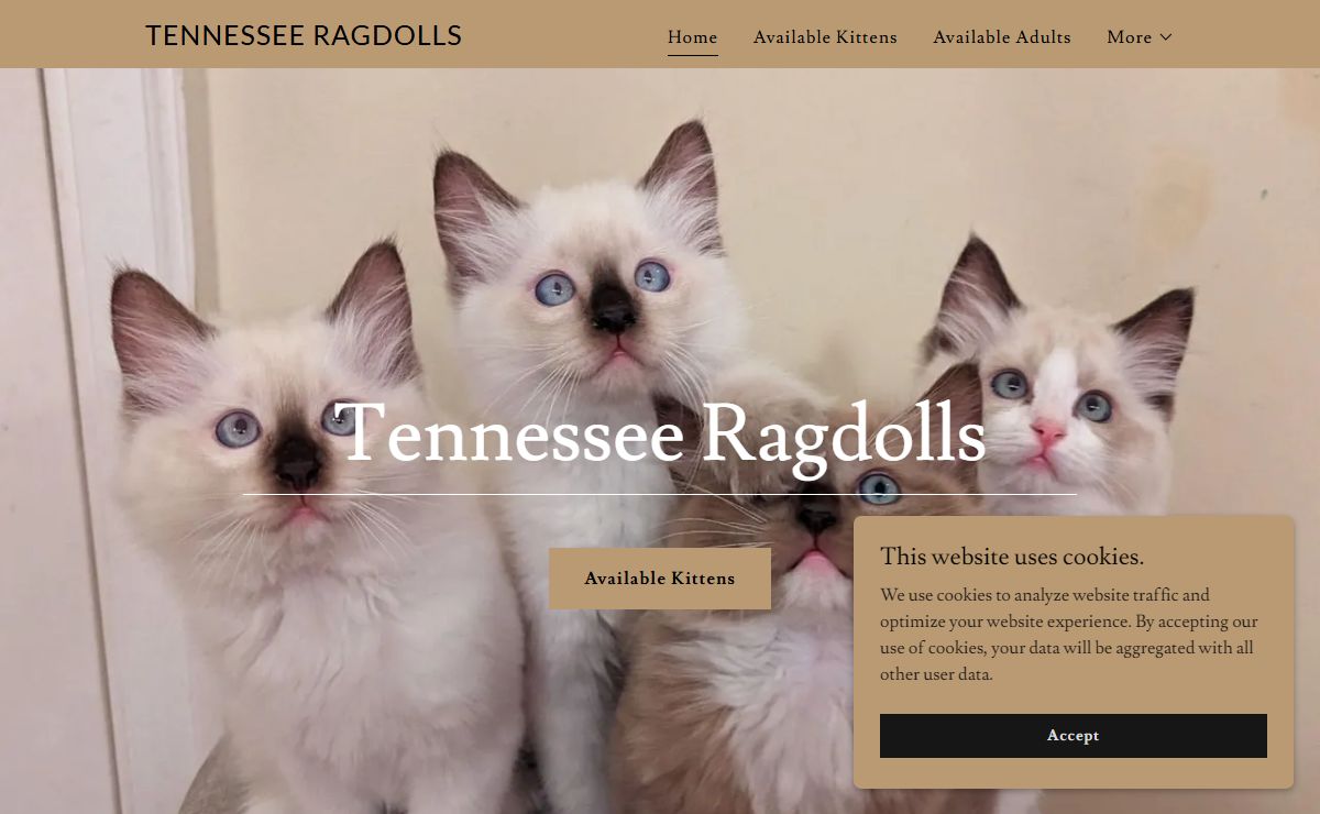 Tennesseeragdoll.com - Home