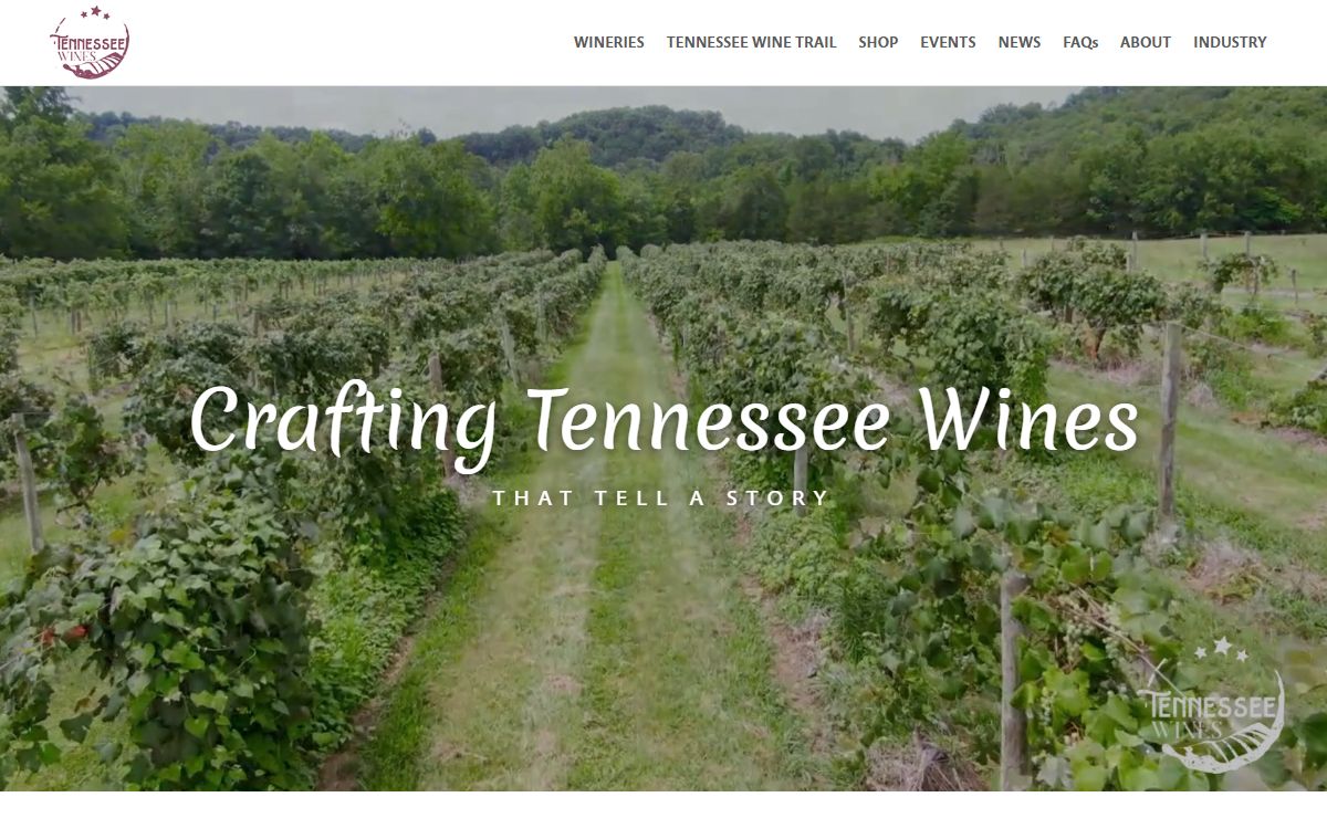 Tennessee Wines | Take a Sip of Tennessee