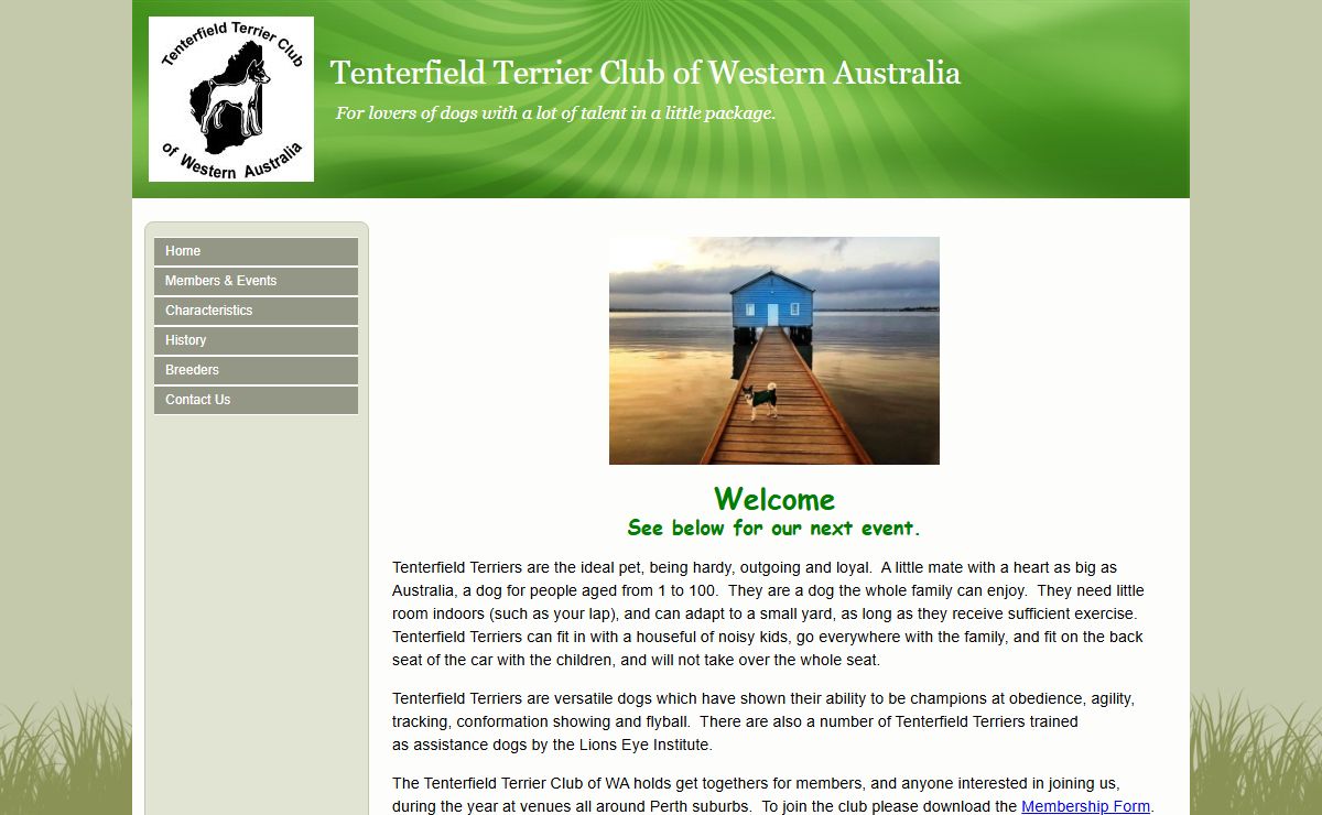Tenterfield Terrier Club of Western Australia