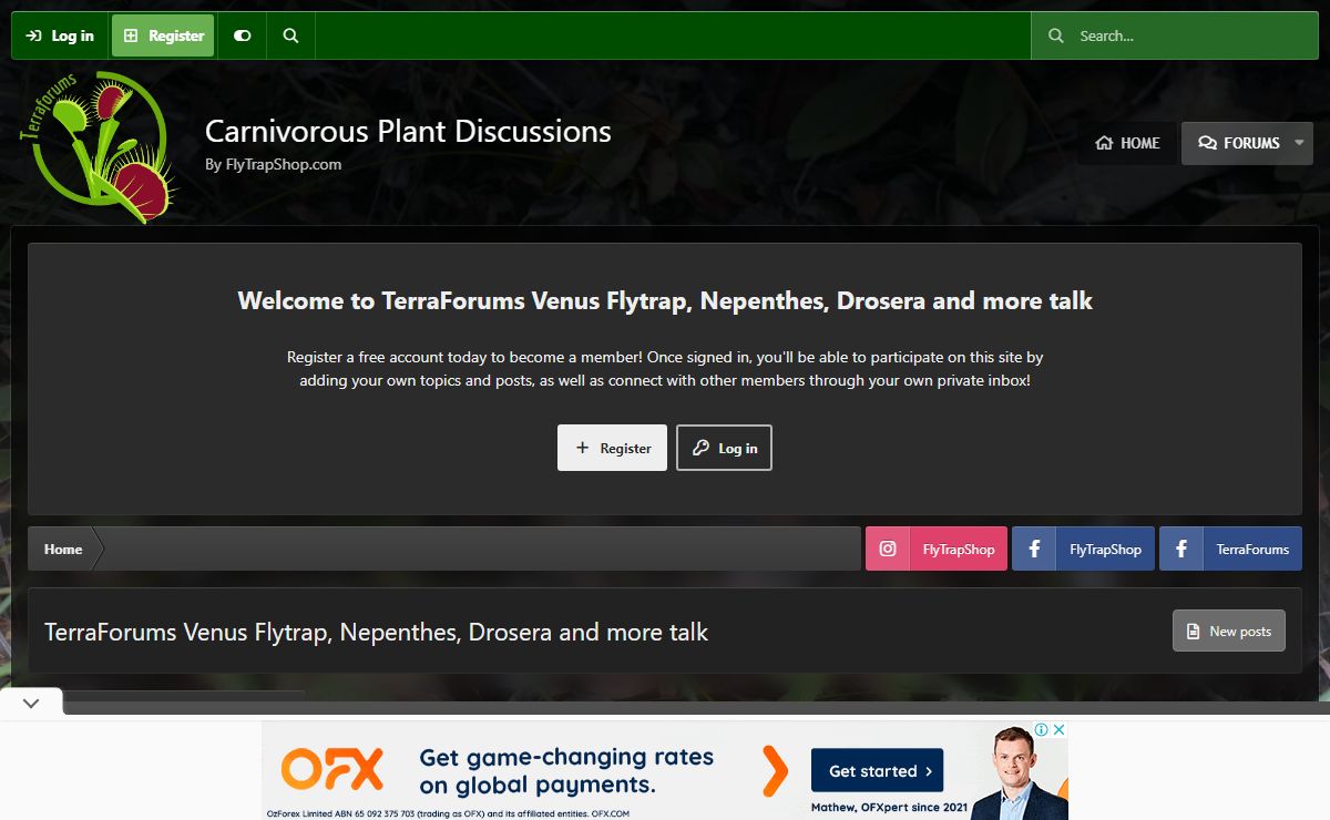 TerraForums Venus Flytrap, Nepenthes, Drosera and more talk
