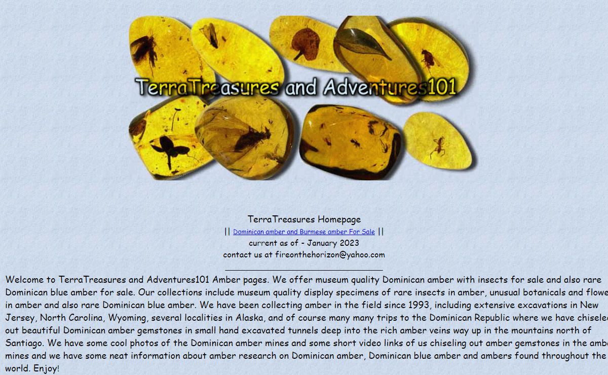 TerraTreasures - amber fossils, Dominican Amber with insects for sale, fossil amber for sale, insects in amber for sale, dominican blue amber for sale