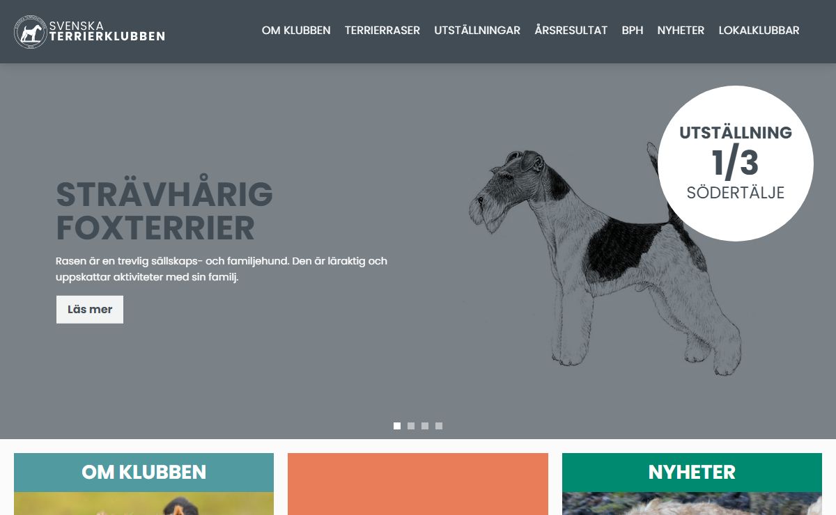 Svenska Terrierklubben - Svenska Terrierklubben