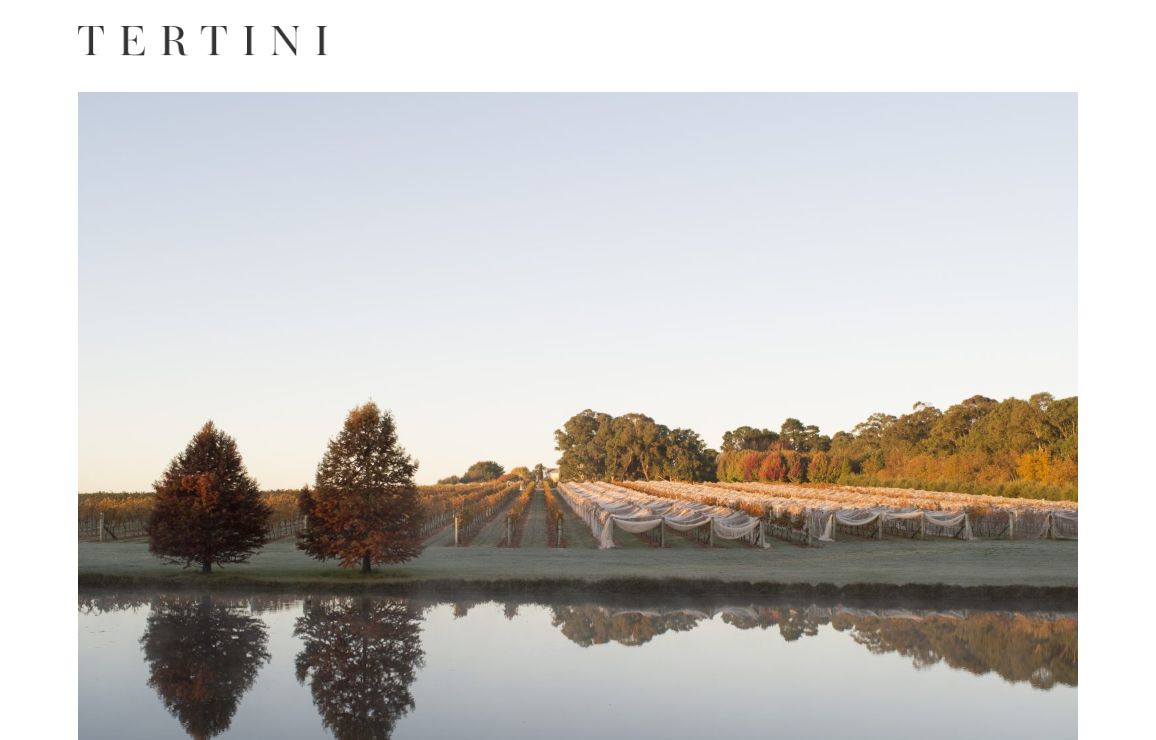 Tertini Wines – Premium cool climate wines