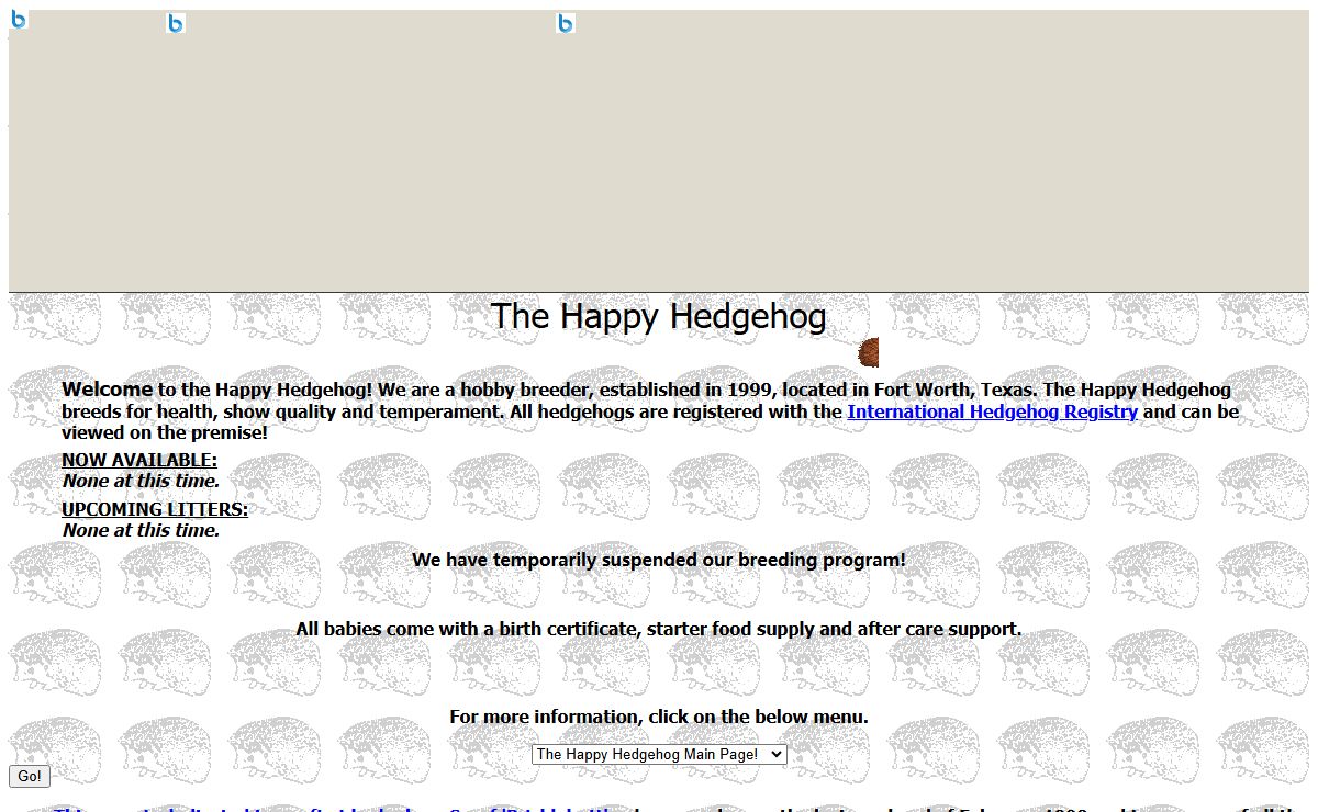 Welcome to The Happy Hedgehog