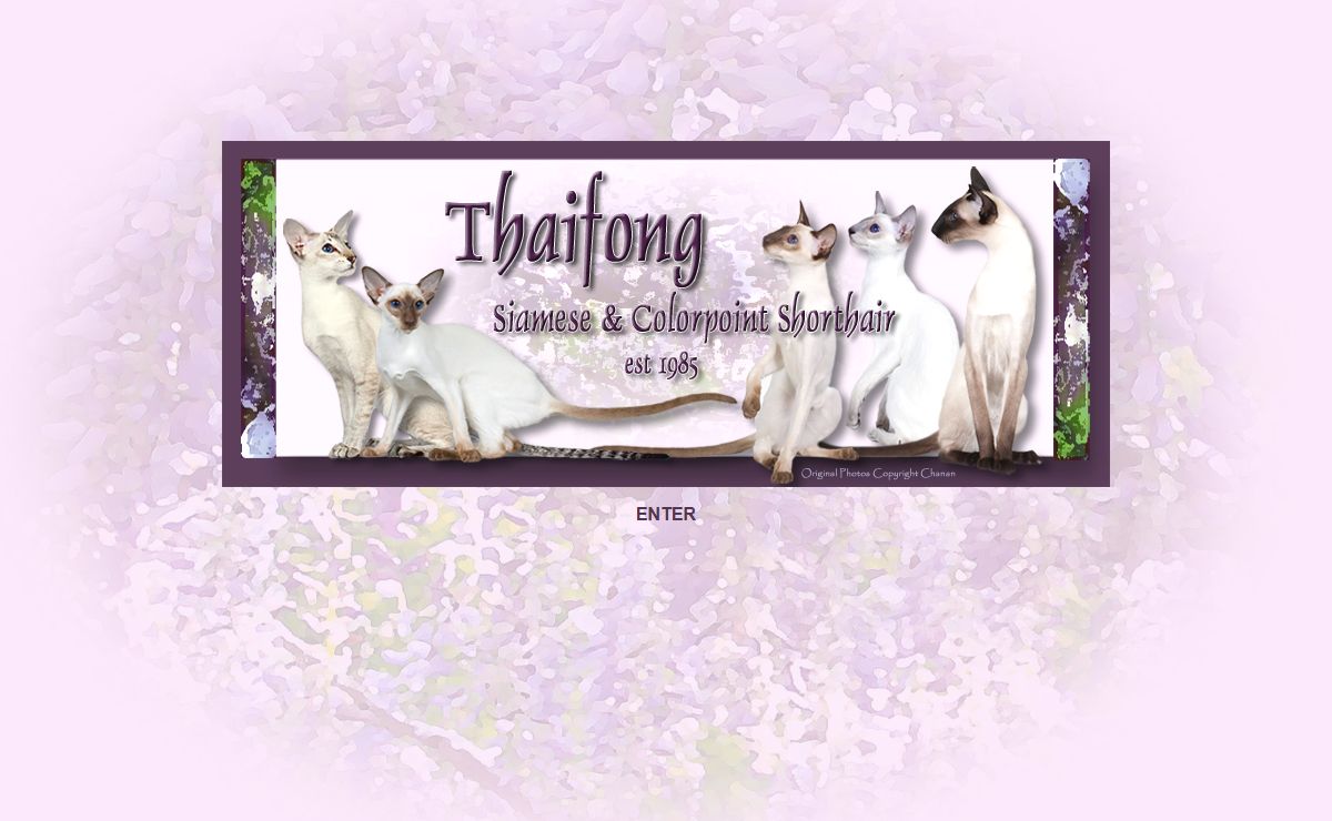 ::::: Thaifong Siamese :::::