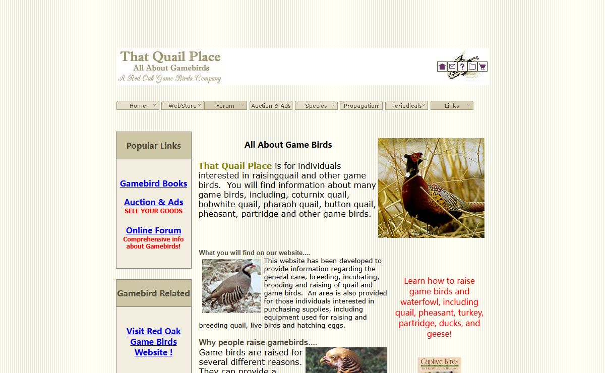 That Quail Place - All About Gamebirds