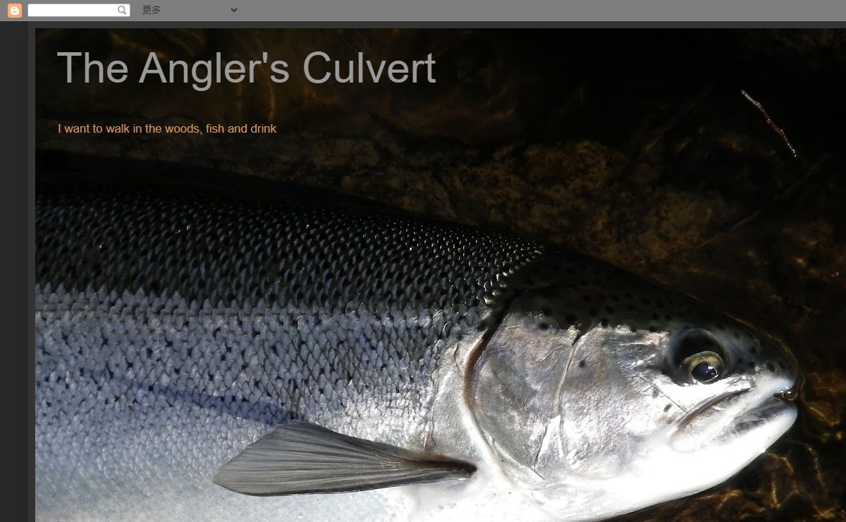 The Angler's Culvert