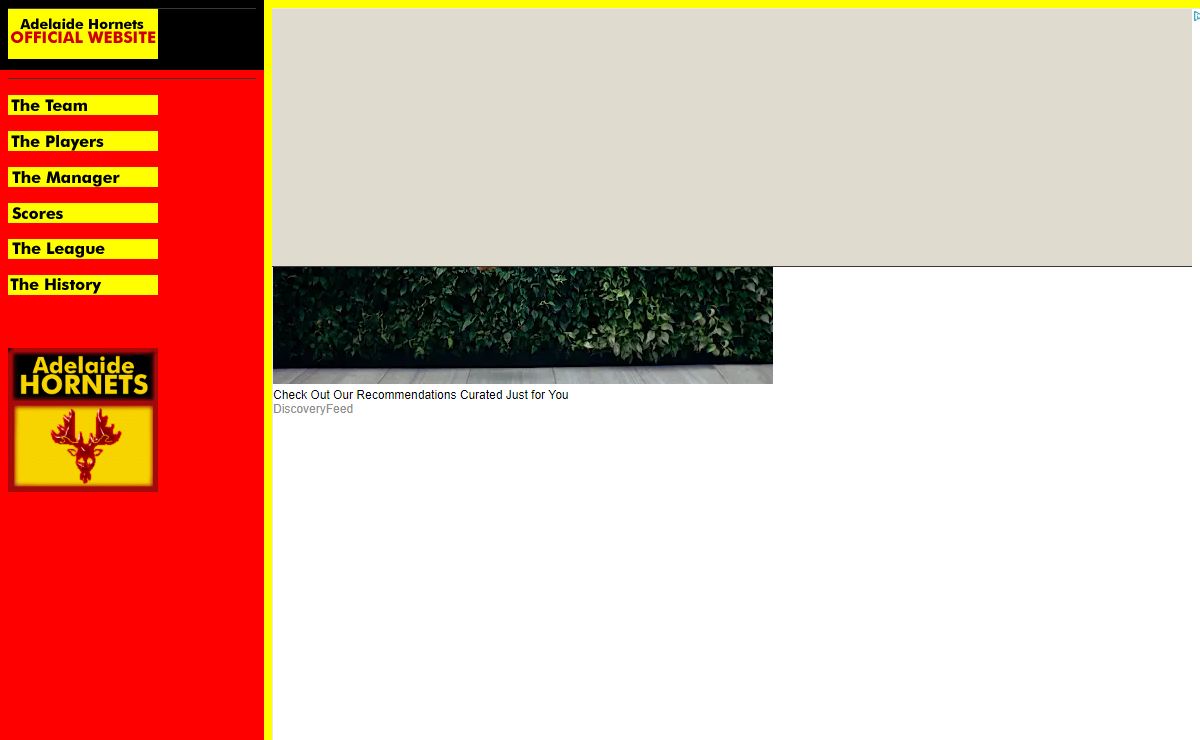 The Adelaide Hornets Official Web Site