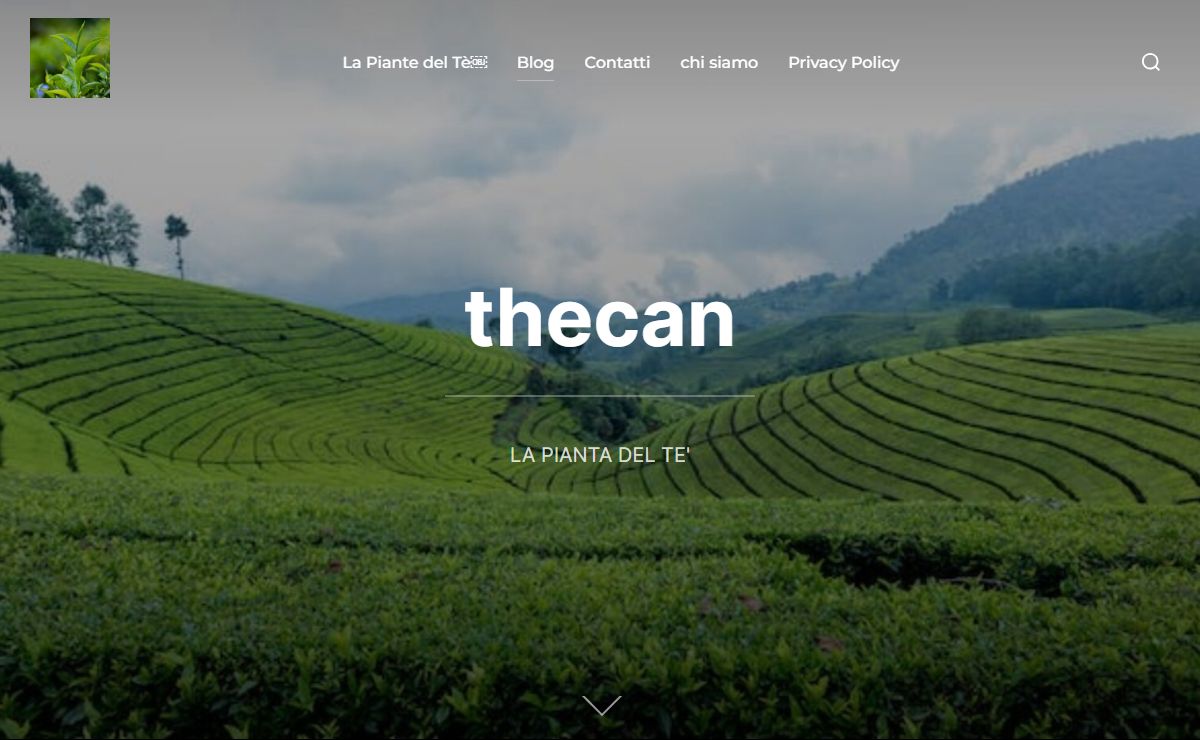 thecan - LA PIANTA DEL TE'