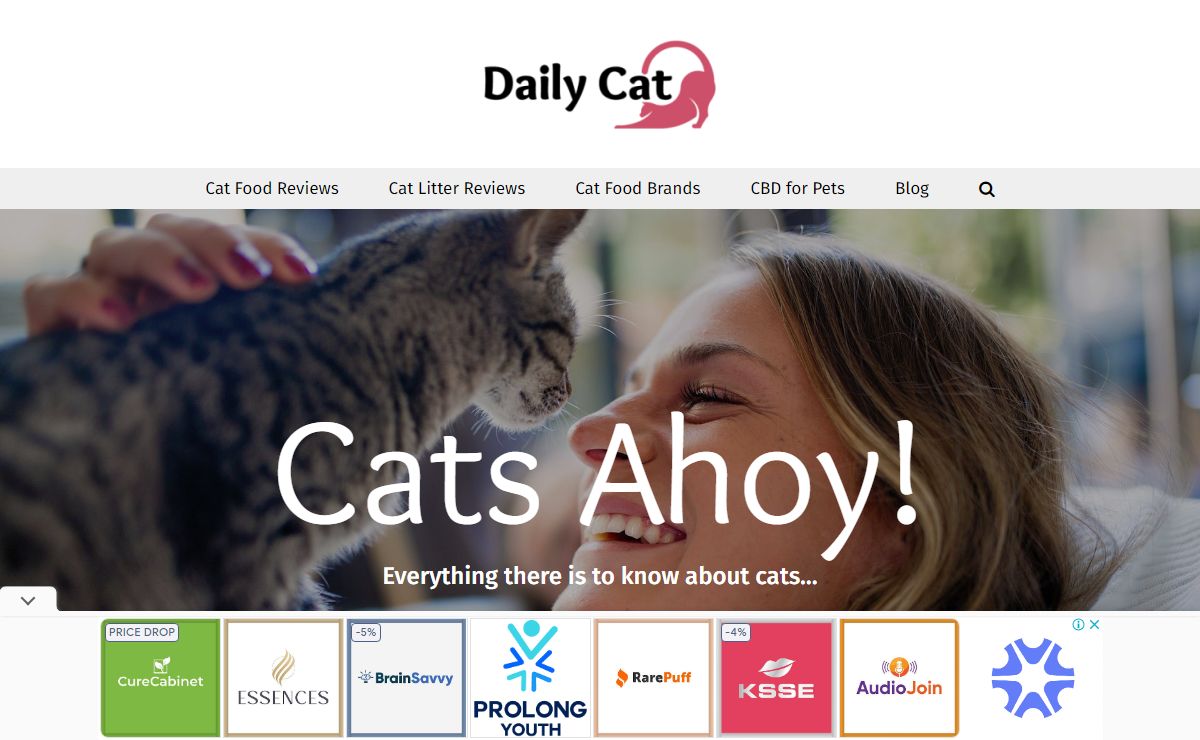 Home - The Daily Cat