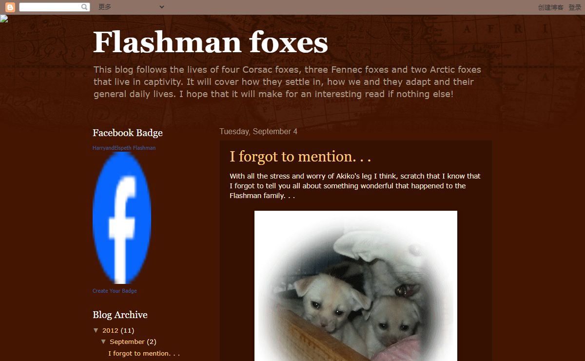 Flashman foxes