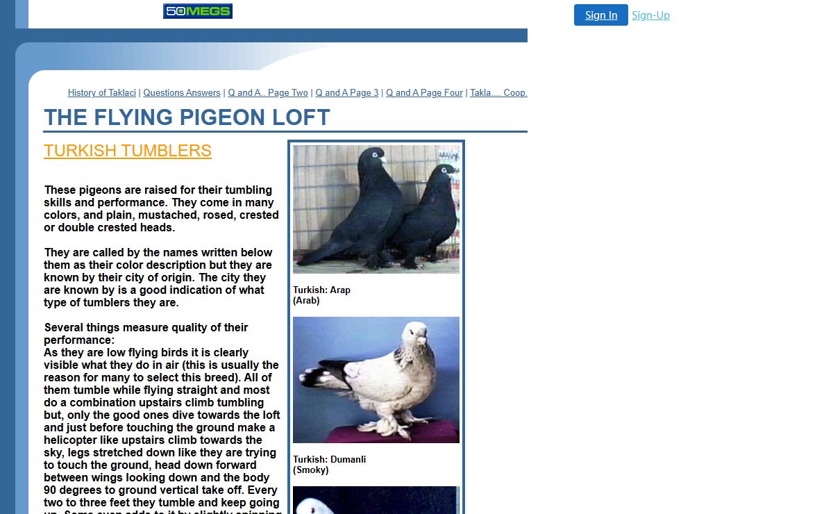 THE FLYING PIGEON LOFT