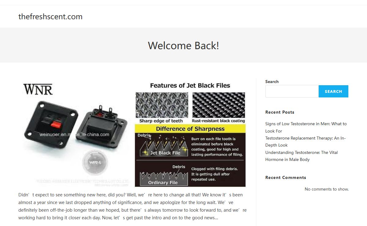 Welcome Back! - thefreshscent.com