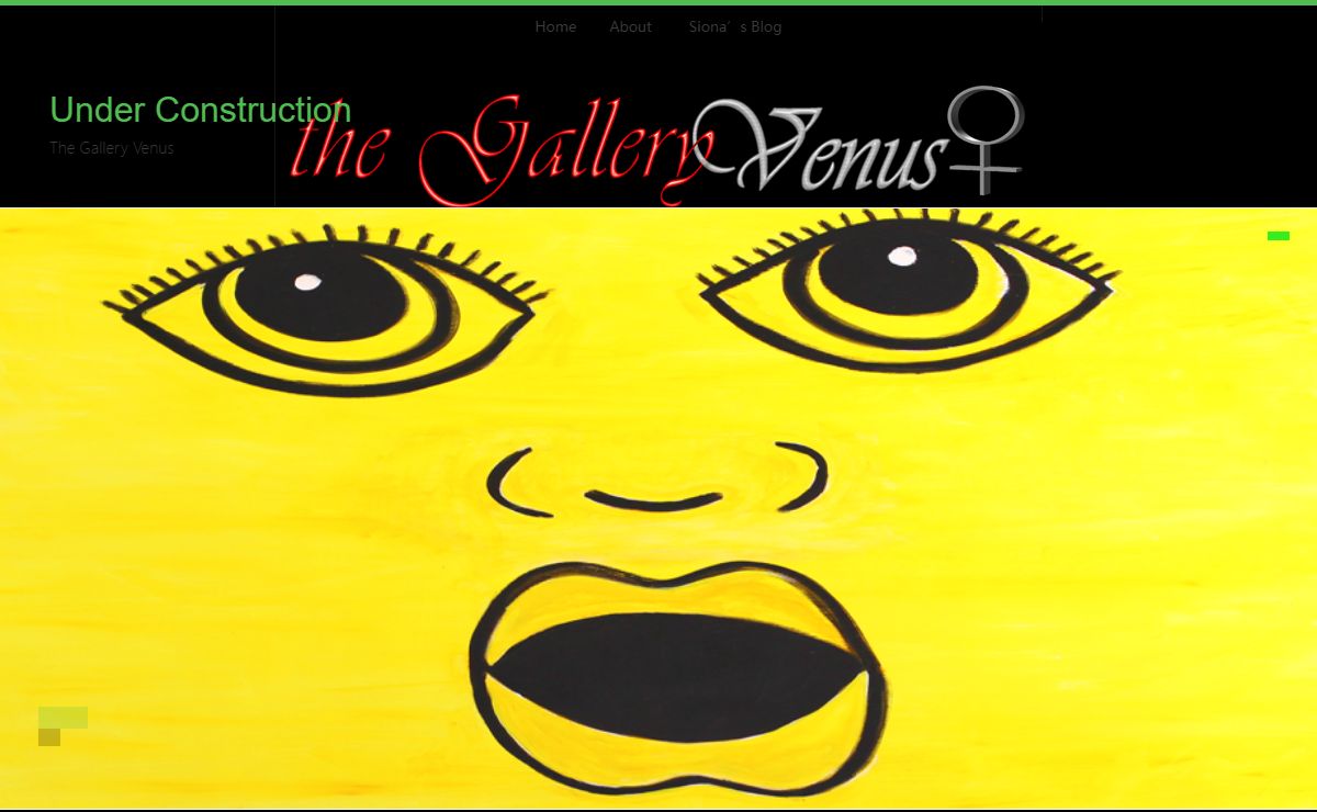 Under Construction | The Gallery Venus