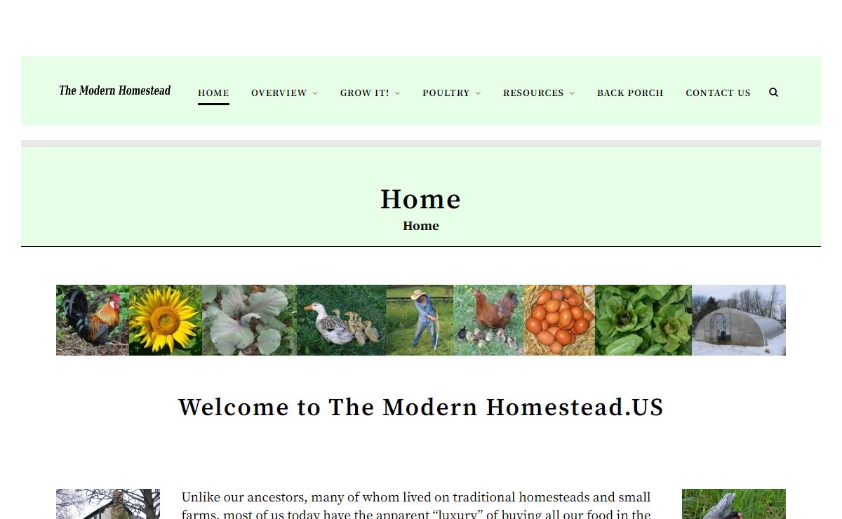 Home - The Modern Homestead