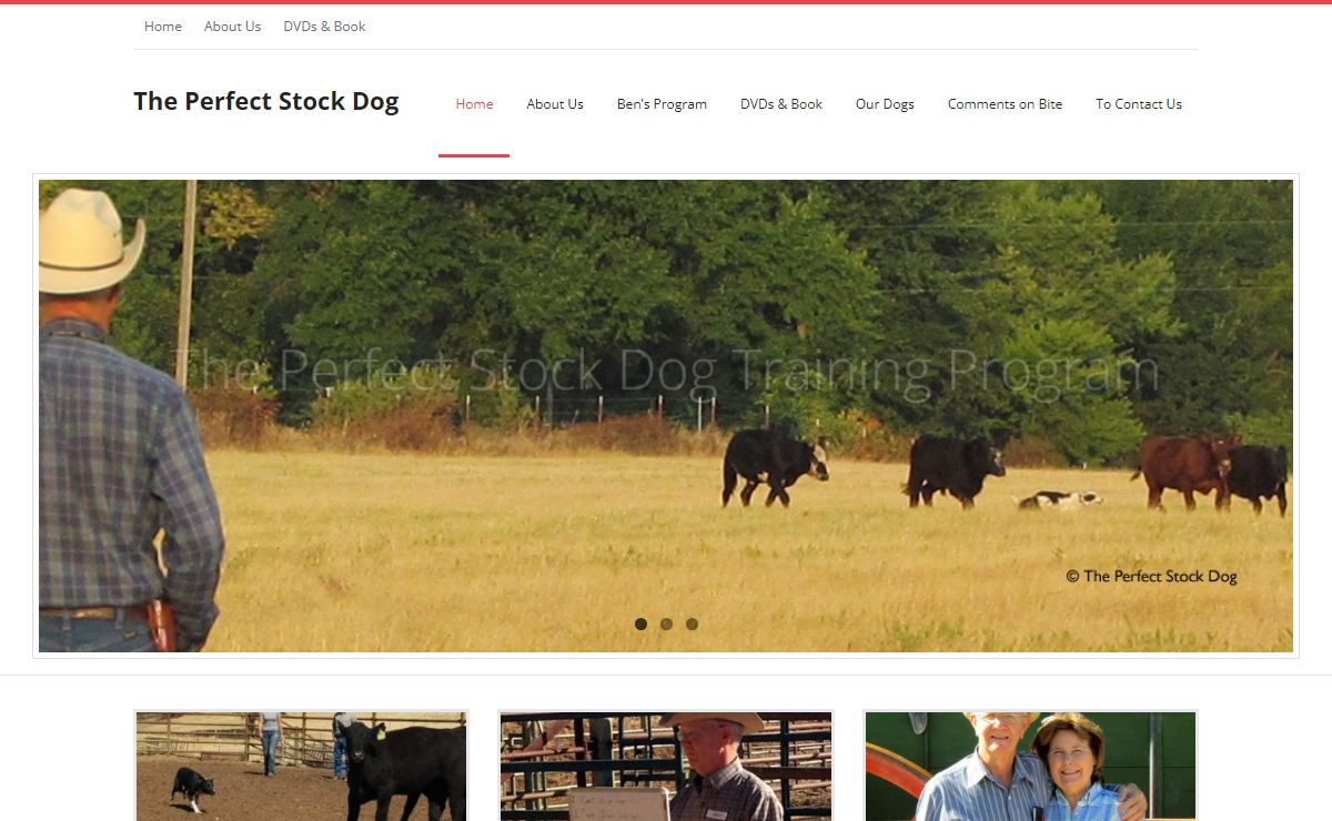 The Perfect Stock Dog – The Perfect Stock Dog Training Program