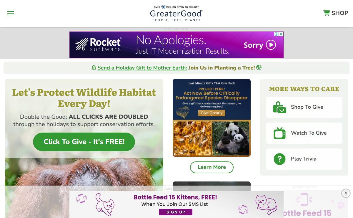 The Rainforest Site | Click to Save The Rainforest