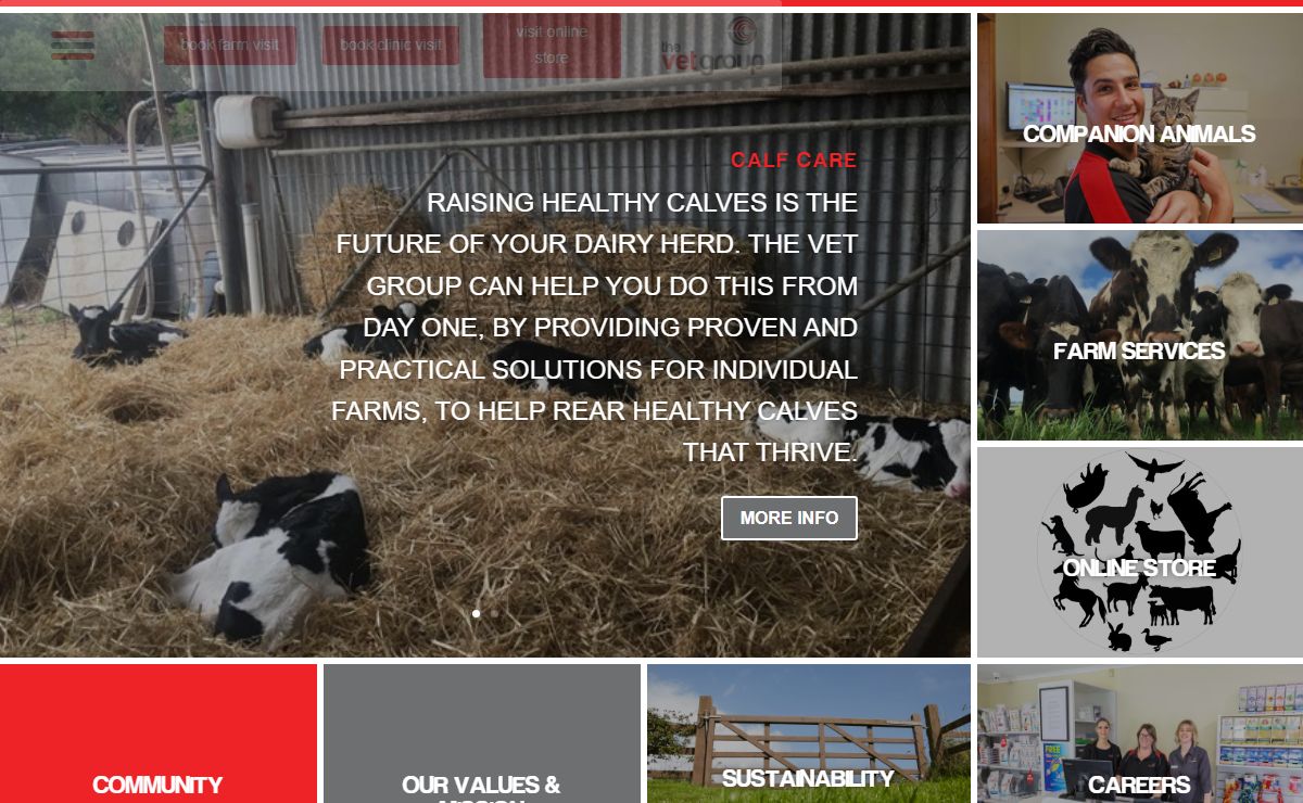 Home - The Vet Group | Vets serving South West Victoria | Warrnambool | Timboon | Allansford | Simpson | Portland | Heywood