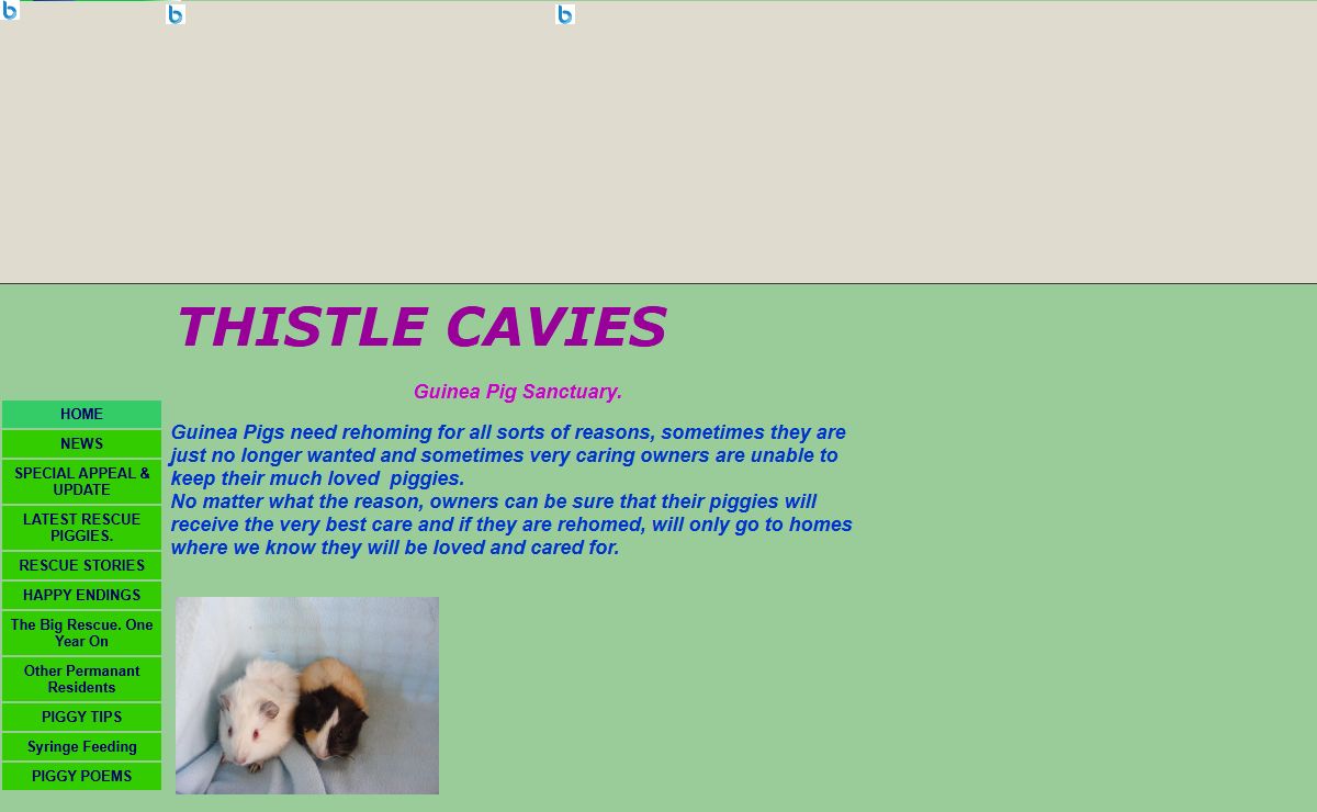 THISTLE CAVIES