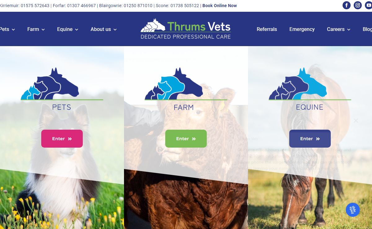 Thrums Vets | Pet, Farm & Equine Vets in Angus & Perthshire