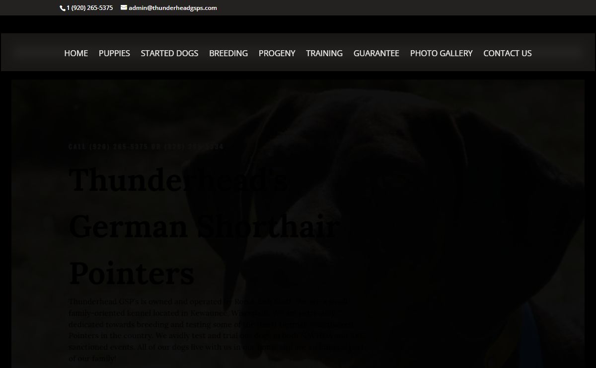 Thunderhead German Shorthair Pointers | German Shorthair Pointers
