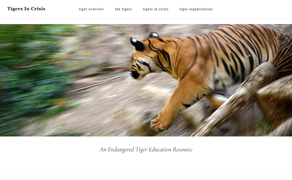 Tigers in Crisis – An Endangered Tiger Education Resource