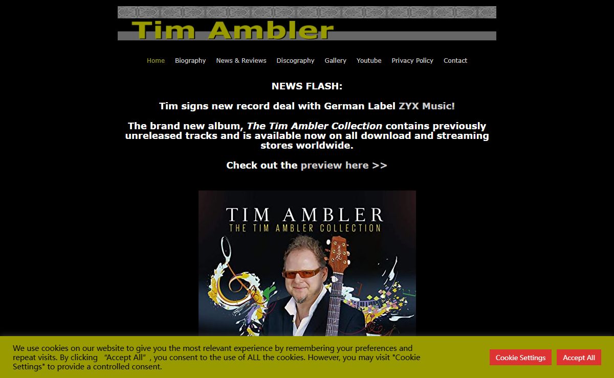 Tim Ambler