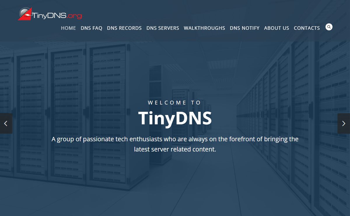 TinyDNS.org