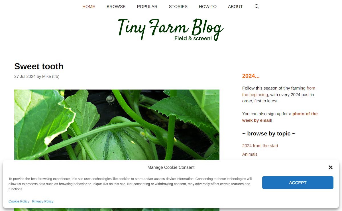 Tiny Farm Blog - The everyday details of growing veg on a tiny plot…