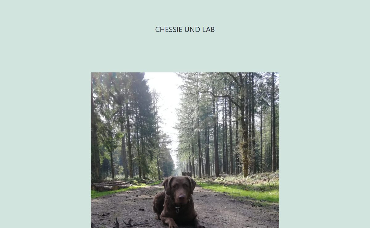 Chessie und Lab