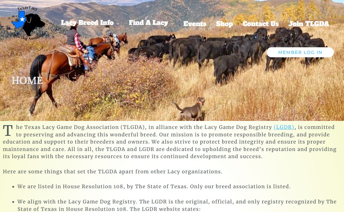 HOME - Texas Lacy Game Dog Association (TLGDA) - (TLGDA)