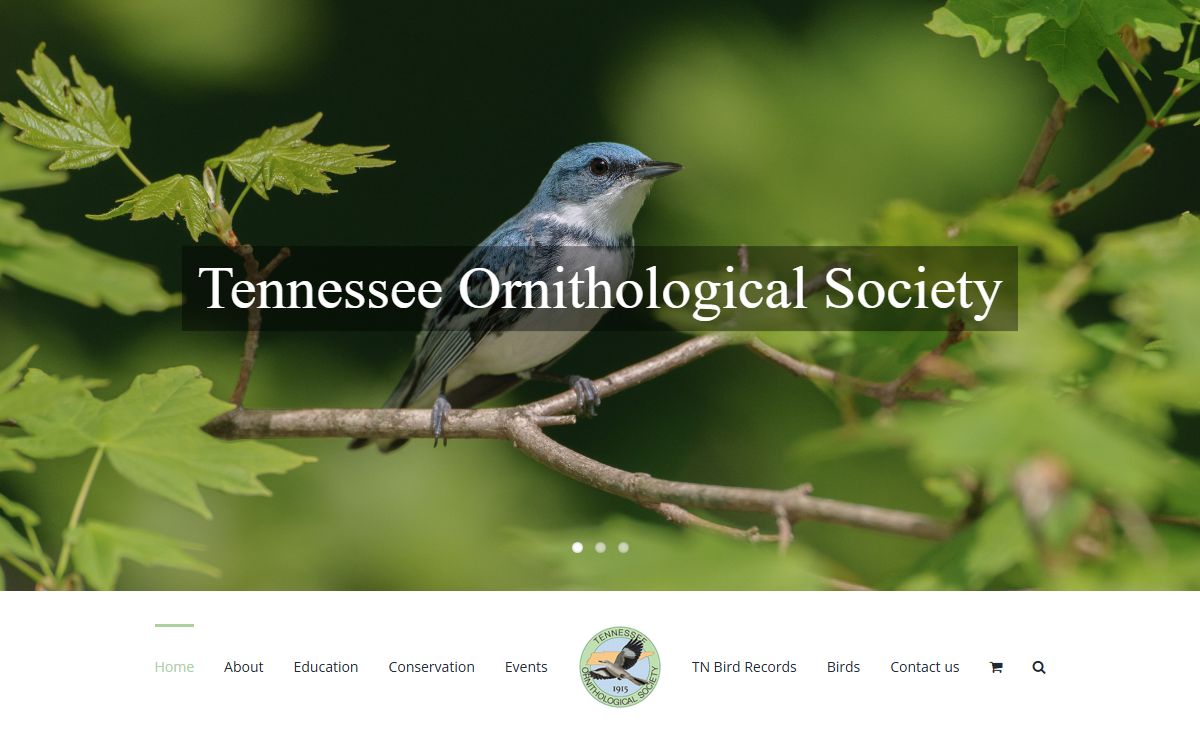 Home - Tennessee Ornithological Society