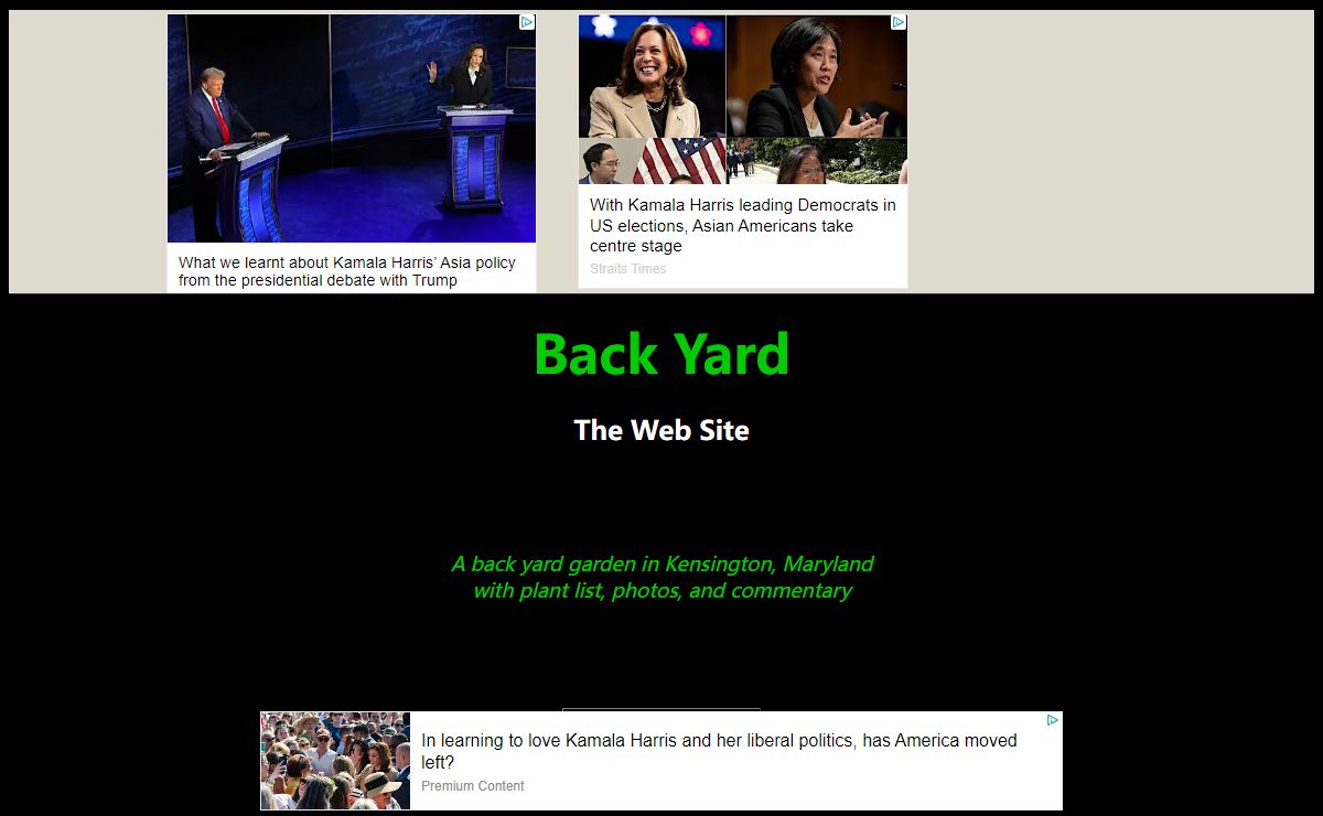 Back Yard -- The Web Site